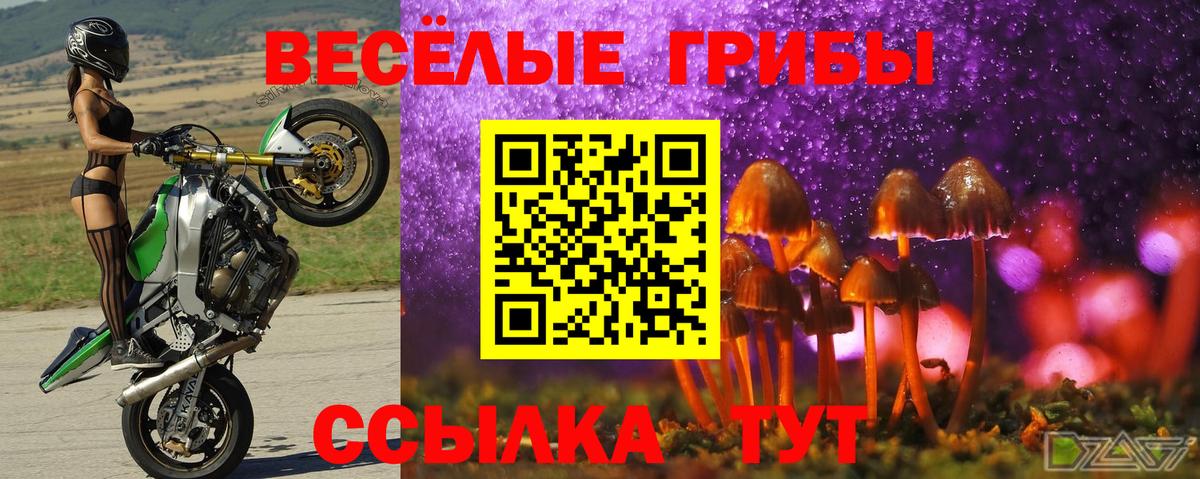 Галлюциногенные грибы Magic Shrooms  Вход с VPN  Галлюциногенные грибы мухоморы  Лениногорск 